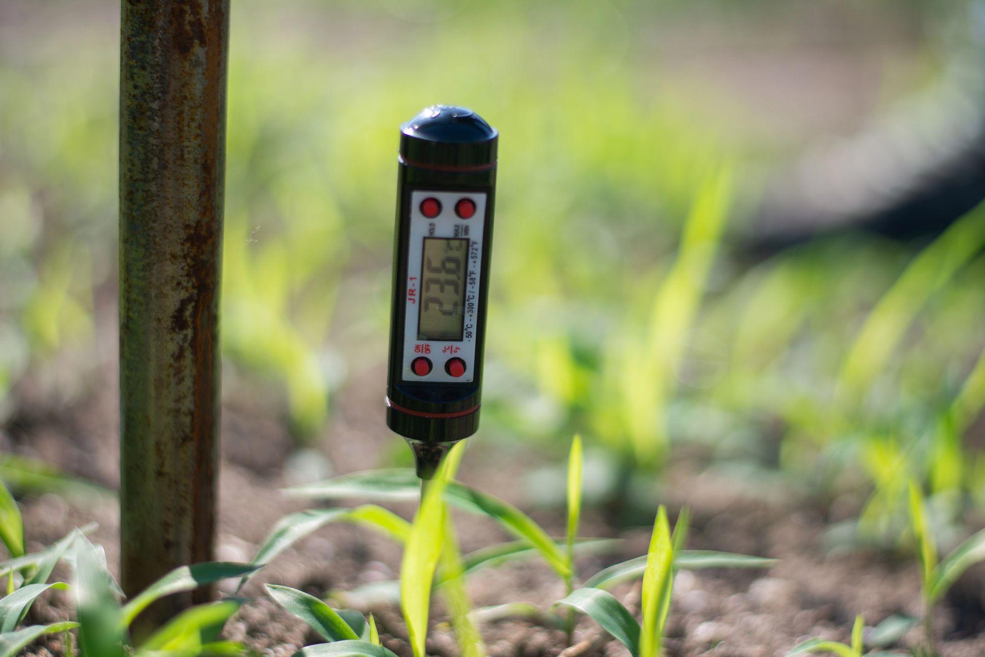 Climate-tech app MazaoHub raises $200,000 to bring precision agriculture to smallholder farmers