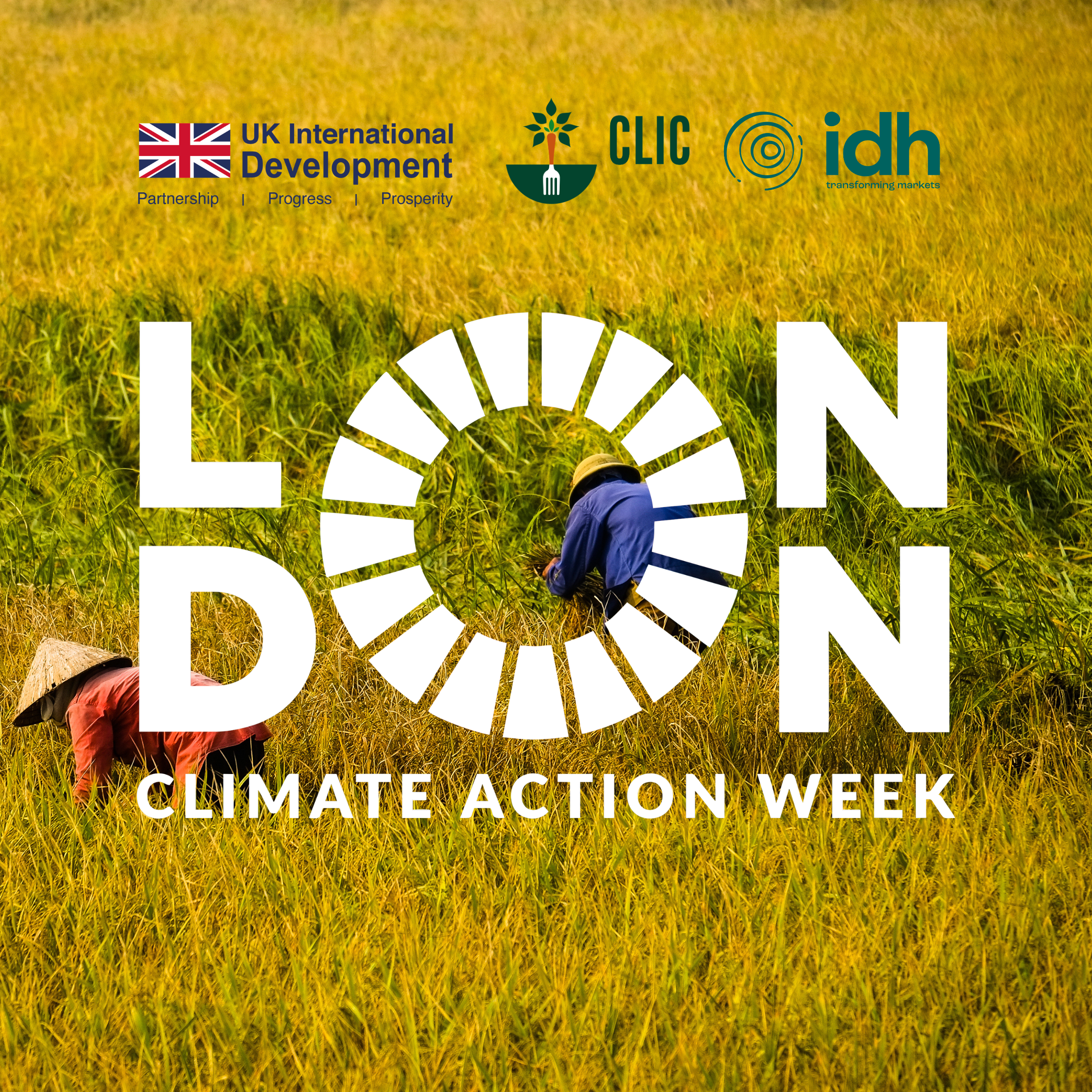 London Climate Action Week: Scaling Finance for Food Security