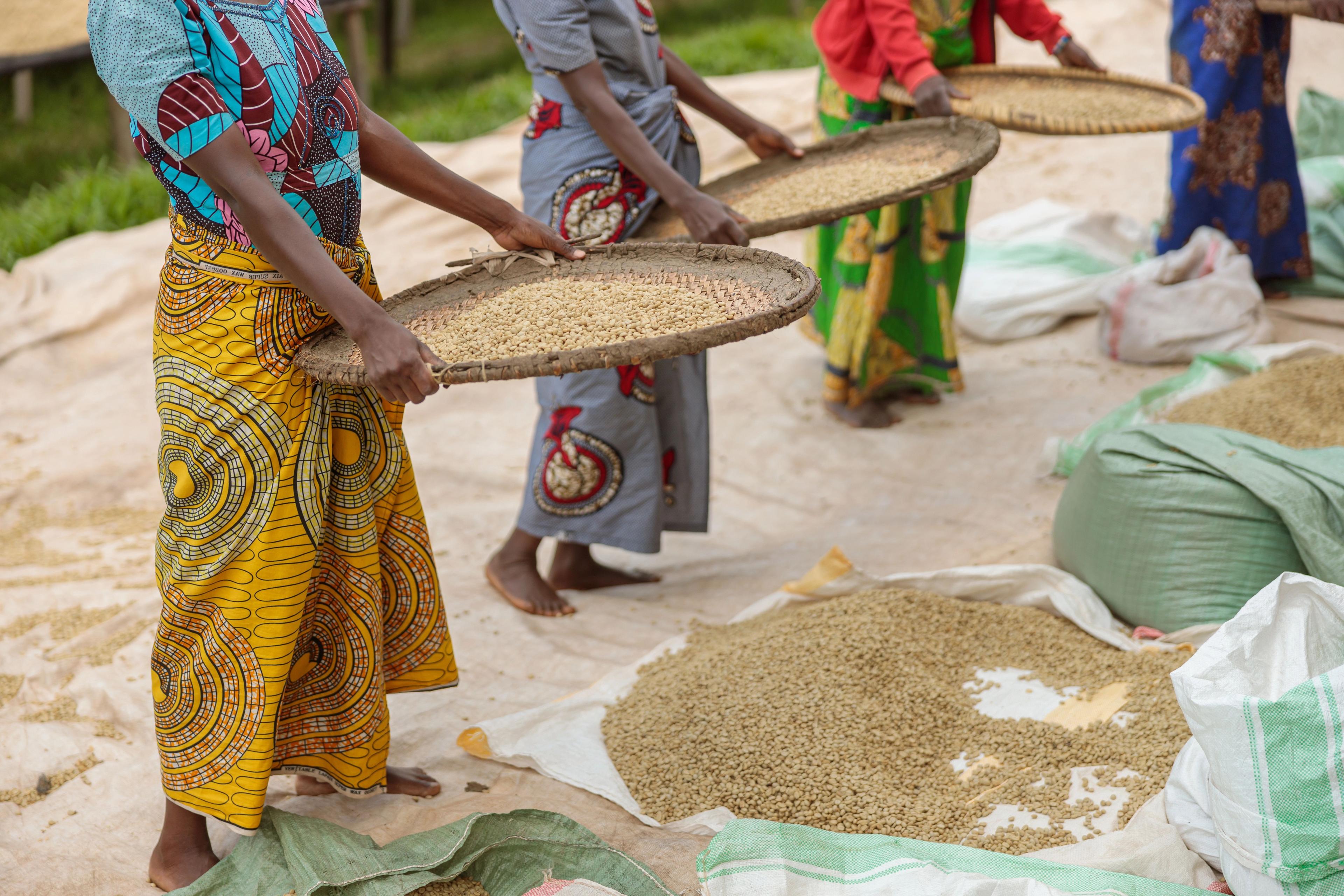 What agribusinesses and investors gain by designing for women