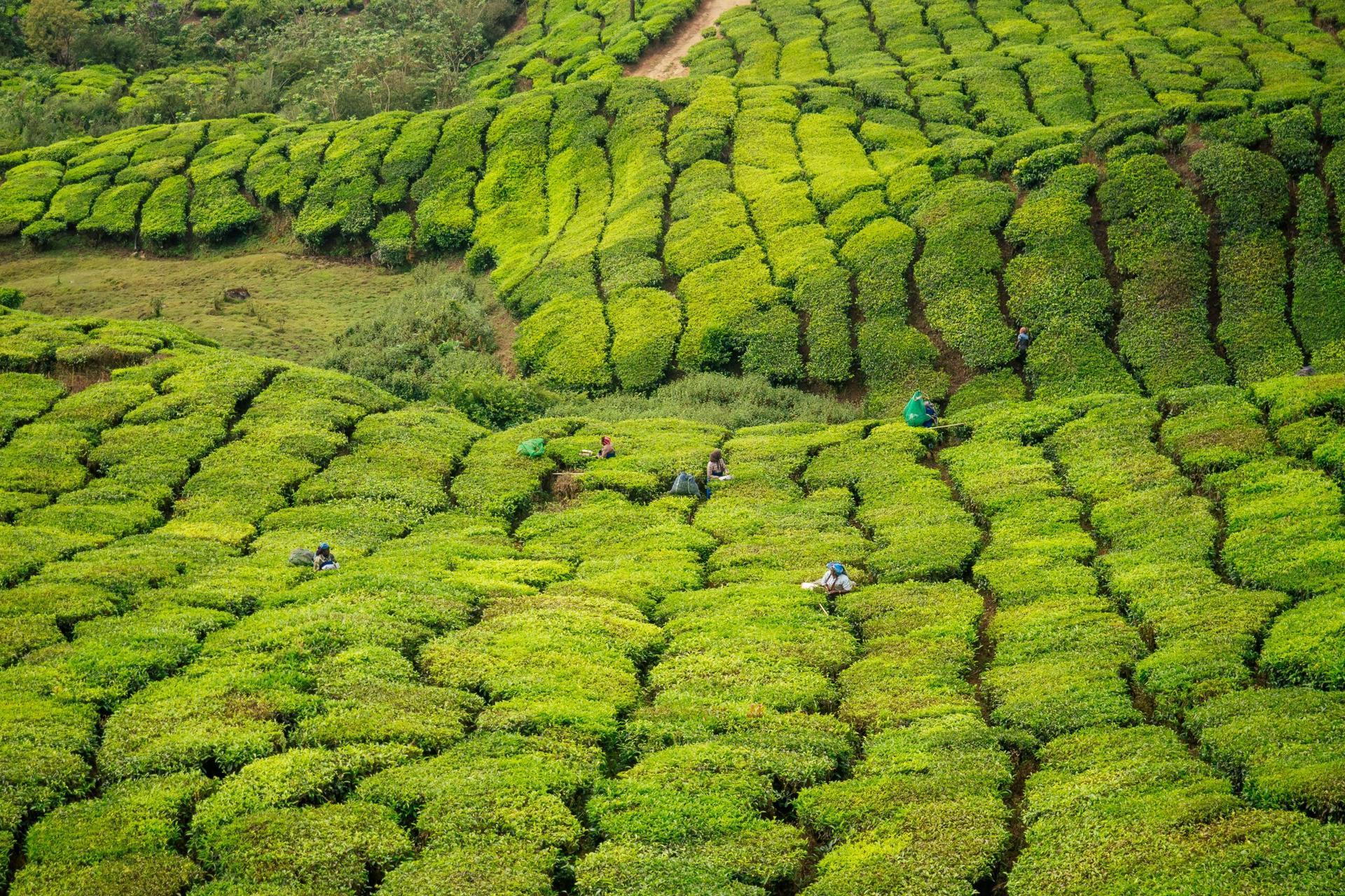 New report reveals USD 1 trillion gap in annual finance for agrifood systems