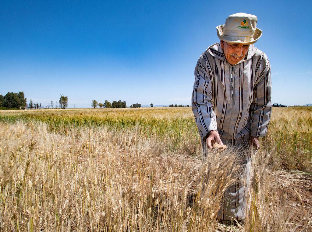 Small-Scale Farmers Receive 0.8% of Climate Finance Despite Providing a Third of Our Food Supply