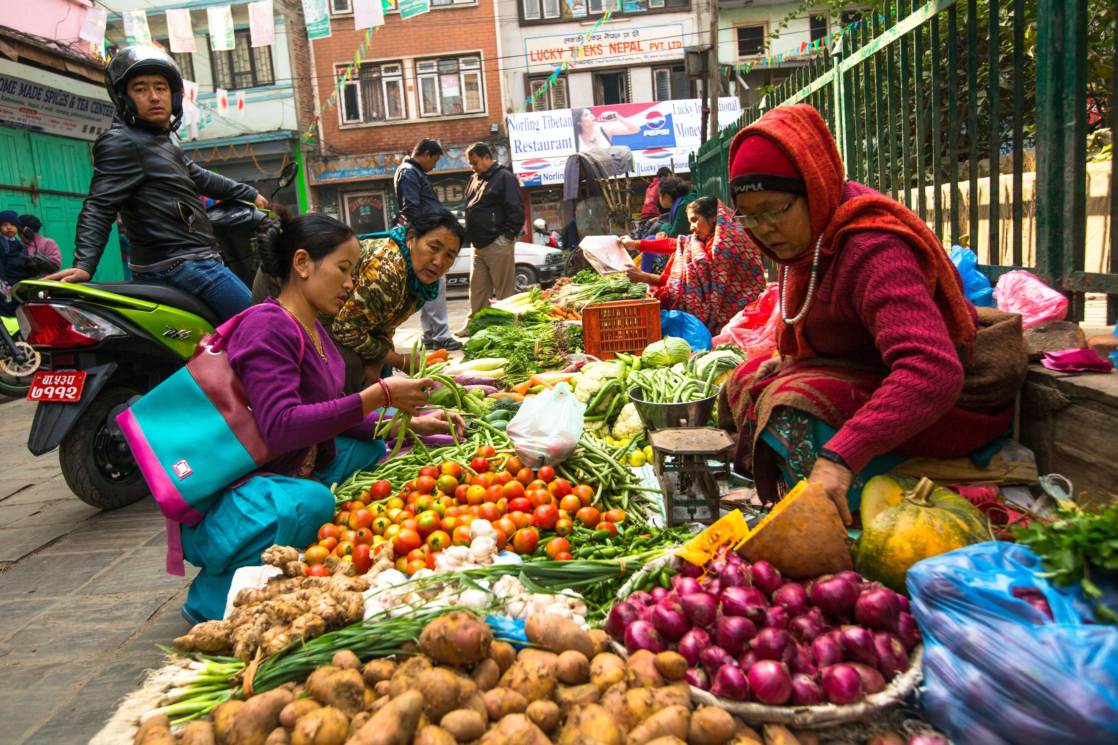 The Climate Finance Gap for Small-Scale Agrifood Systems: A growing challenge