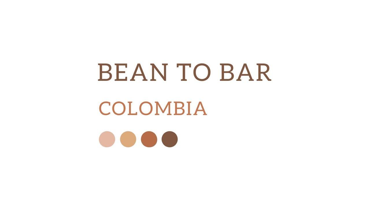 Bean to Bar